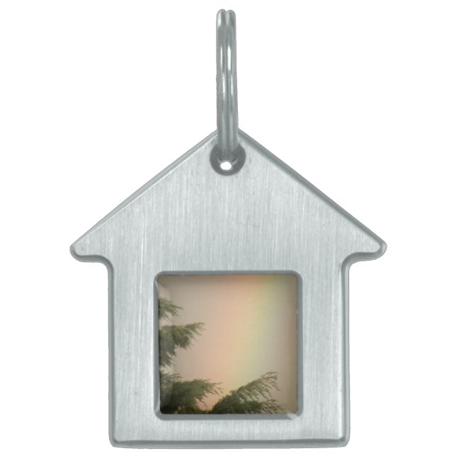 Rainbow and Trees Pet Tag (Front)