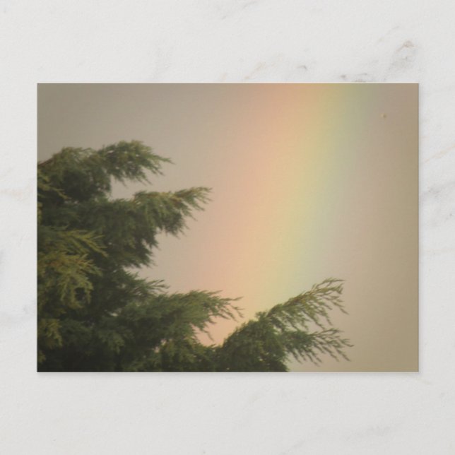Rainbow and Trees Postcard (Front)