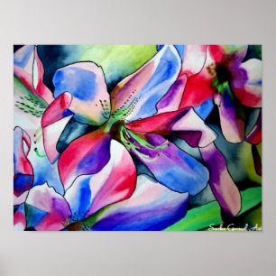 Rainbow Azalea flower original watercolor painting Poster