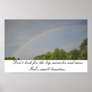 Rainbow Beauties Poster