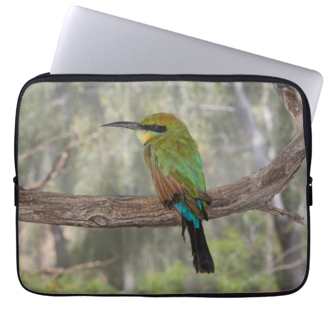 Rainbow bee-eater bird, Australia Laptop Sleeve (Front)