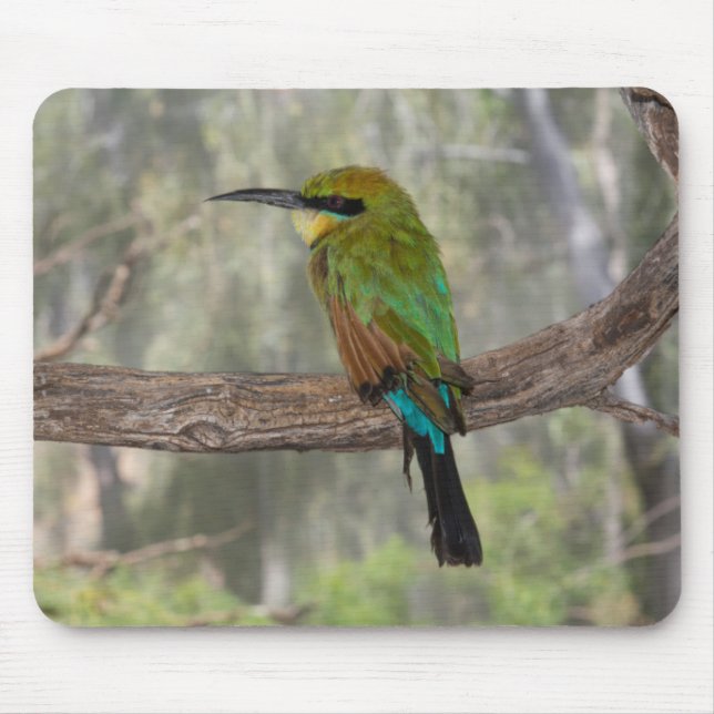 Rainbow bee-eater bird, Australia Mouse Pad (Front)