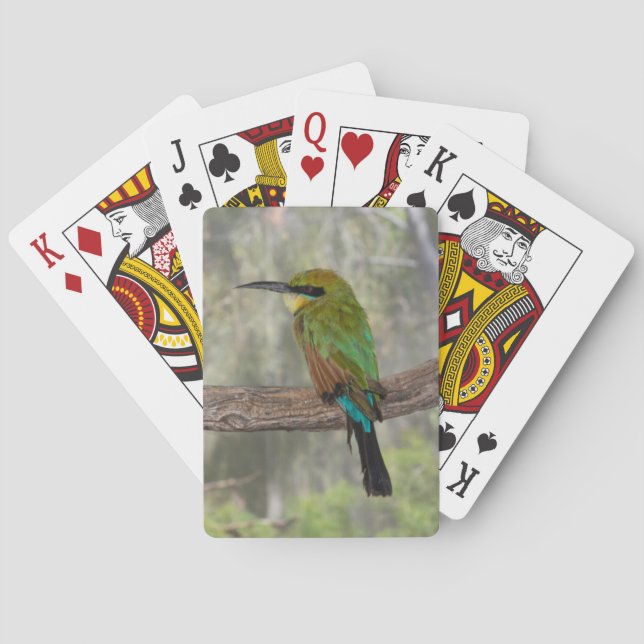 Rainbow bee-eater bird, Australia Playing Cards (Back)
