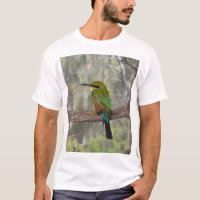 Rainbow bee-eater bird, Australia