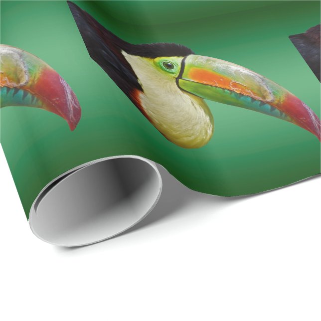 Rainbow-Billed Toucan Wrapping Paper (Roll Corner)