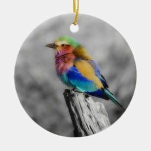 Rainbow Bird Ceramic Tree Decoration