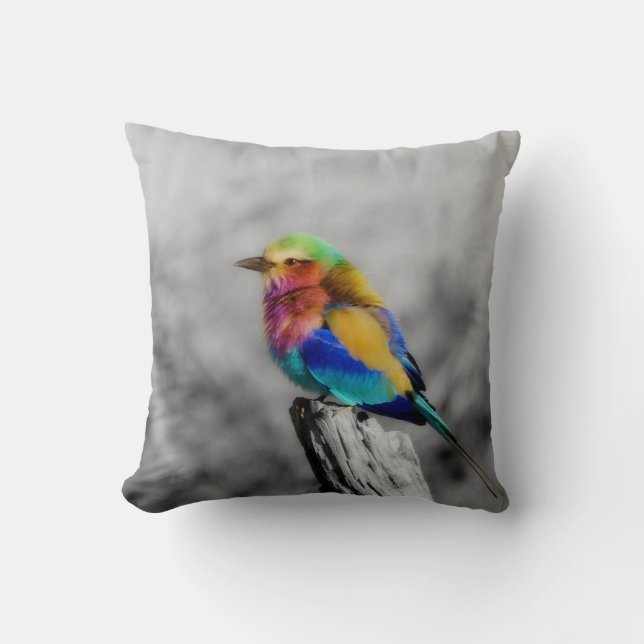 Rainbow Bird Cushion (Front)