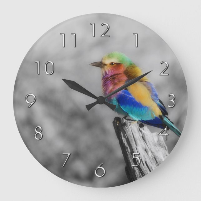 Rainbow Bird Large Clock (Front)