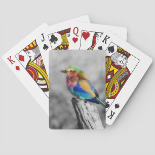 Rainbow Bird Playing Cards