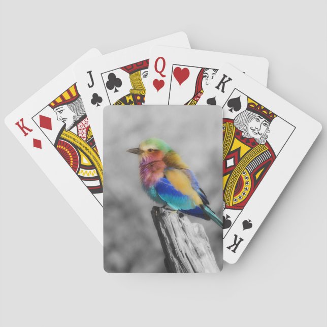 Rainbow Bird Playing Cards (Back)