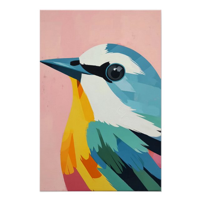 rainbow bird poster (Front)