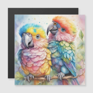 Rainbow Birds Parrots 1