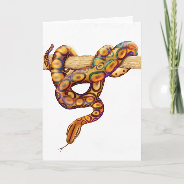 Rainbow Boa Constrictor Snake Card (Front)