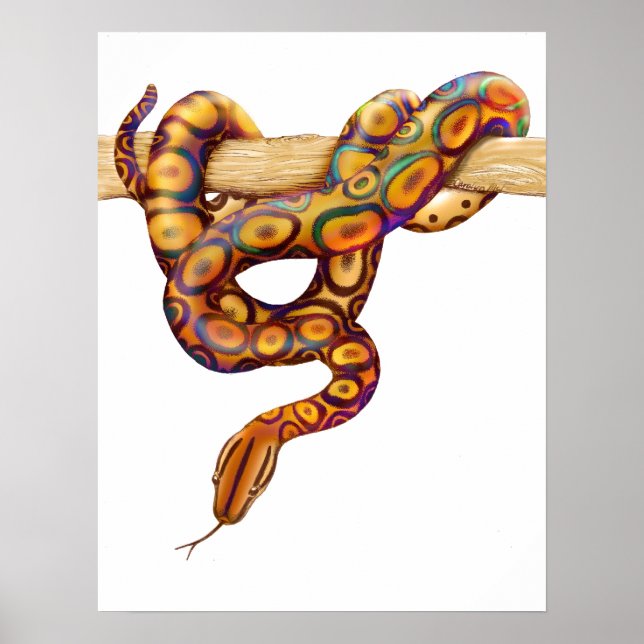 Rainbow Boa Snake Print (Front)