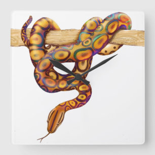 Rainbow Boa Snake Wall Clock