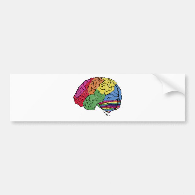 Rainbow Brain Bumper Sticker (Front)