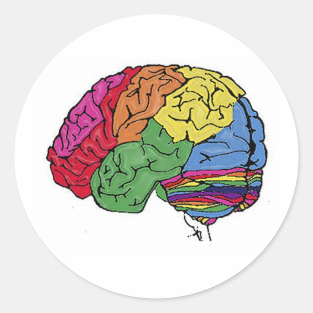 Rainbow Brain Classic Round Sticker (Front)