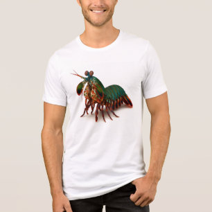Rainbow Brawler of the Deep Tri-Blend Shirt