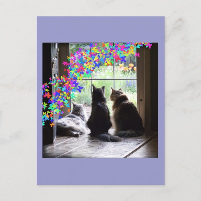 Rainbow Bridge cat condolence postcard (Front)