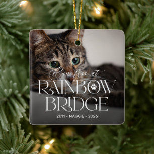 Rainbow Bridge Cat Memorial Christmas Ornament