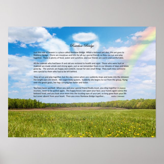Rainbow Bridge Female Dog Sympathy Poster, Custom Poster (Front)