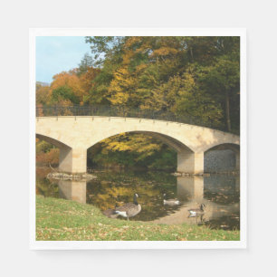 Rainbow Bridge in Fall at Grove City College Napkin