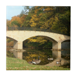 Rainbow Bridge in Fall at Grove City College Tile