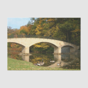 Rainbow Bridge in Fall at Grove City College Tissue Paper