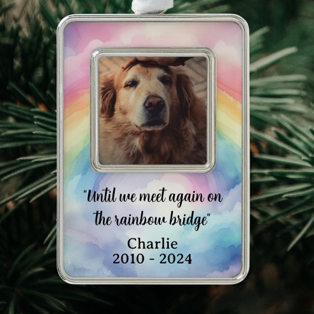 Rainbow Bridge Memorial Pet Loss Silver Plated Framed Ornament (Until we meet again on the rainbow bridge)