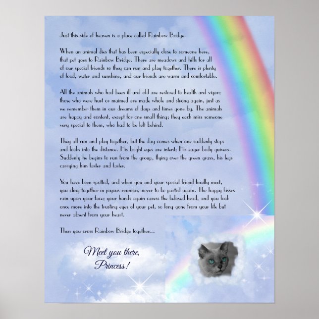 Rainbow Bridge Pet Loss (customisable) Poster (Front)