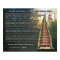 Rainbow Bridge Pet Loss Photo Wall Print