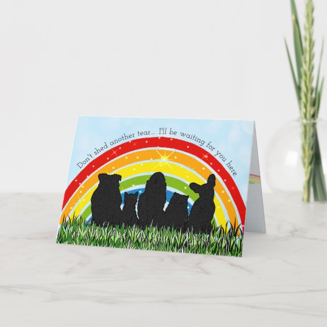 Rainbow Bridge Pet Loss Sympathy Card (Front)