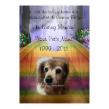 Rainbow Bridge Pet Memorial - In memory Poster