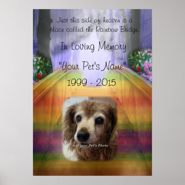 Rainbow Bridge Pet Memorial - In memory Poster (Front)