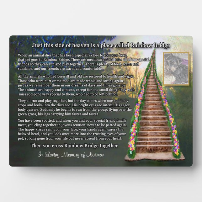 Rainbow Bridge Pet Remembrance Keepsake Plaque (Front)