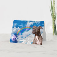 Rainbow Bridge Pet Sympathy Poem