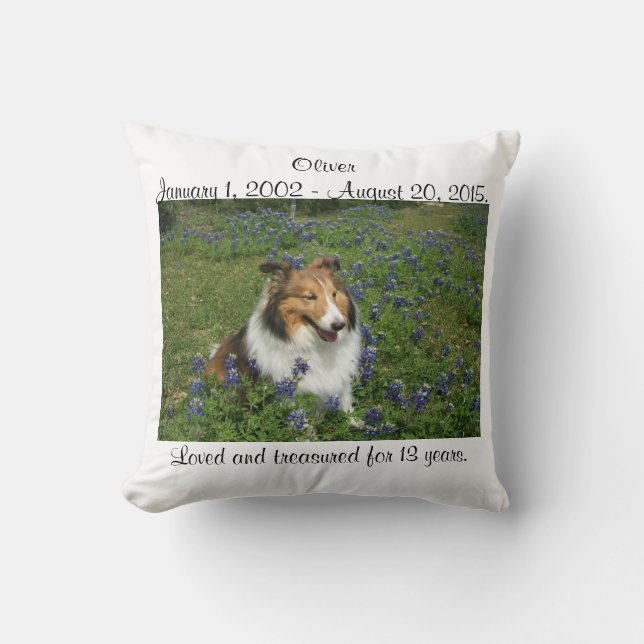 Rainbow Bridge Pillow (Front)