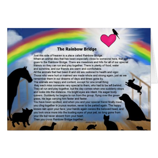 rainbow bridge poem card zazzlecomau