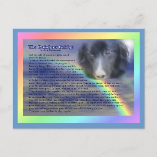 Rainbow Bridge Poem Pet Loss Sympathy Postcard Zazzle Com Au