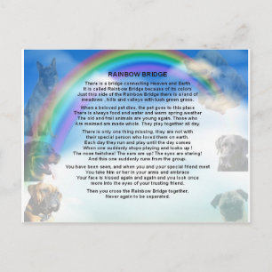 Rainbow Bridge Poem Postcard