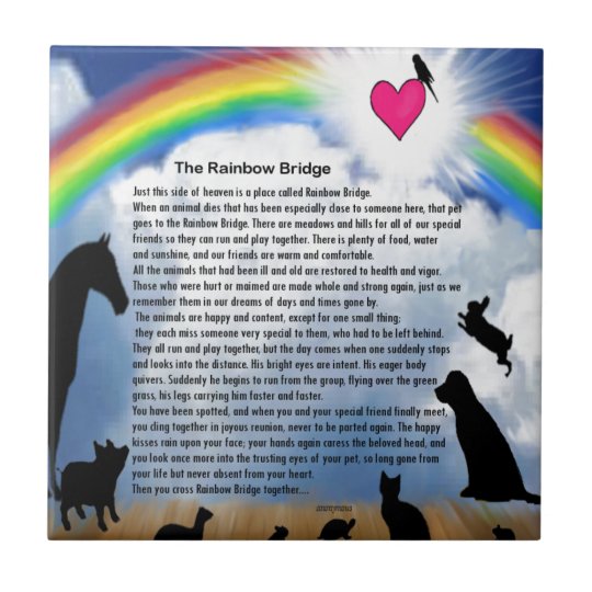 rainbow bridge poem tile zazzlecomau