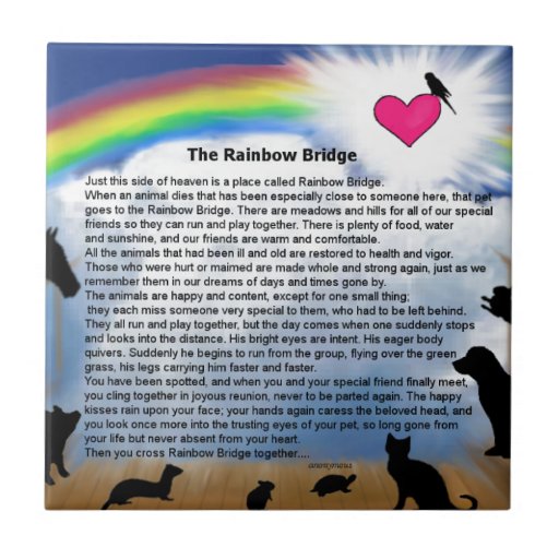 Rainbow Bridge Poem | Zazzle