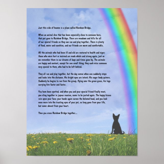 Rainbow Bridge Poster (Front)
