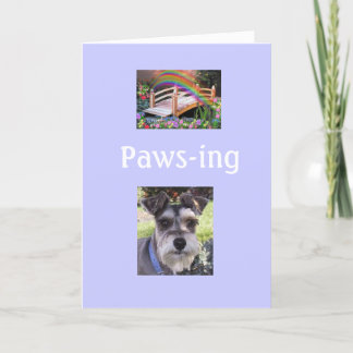 Rainbow Bridge Sympathy Card