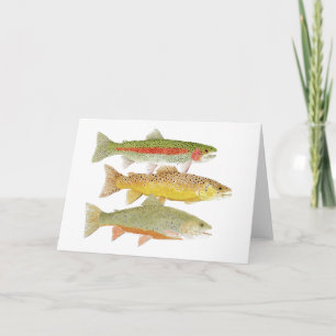 Rainbow, Brown & Brook Trout Card