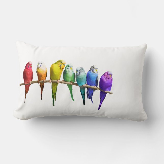 RAINBOW BUDGERIGARS White Pillow Cushion (Front)