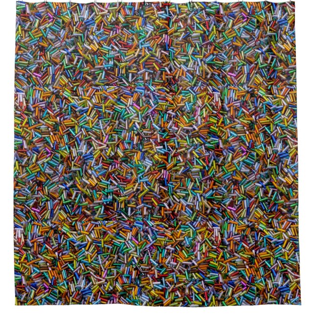 Rainbow Bugle Beads Shower Curtain (Front)