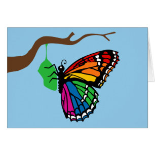 Rainbow Butterfly Emerging From Chrysalis
