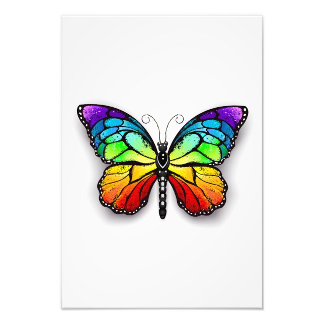 Rainbow butterfly Monarch Photo Print (Front)