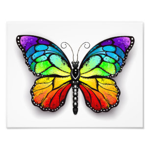 Rainbow butterfly Monarch Photo Print